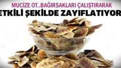 Bağırsakları Çalıştırarak Etkili Şekilde Zayıflayın..!!