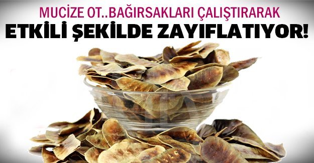 Bağırsakları Çalıştırarak Etkili Şekilde Zayıflayın..!!