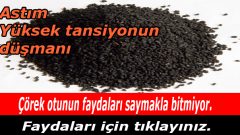 Çörek Otunun Faydaları Saymakla Bitmiyor