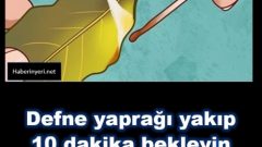 Defne Yaprağını Yakıp 10 Dakika Bekleyin – Gerçekleşenlere Siz Bile İnanamayacaksınız