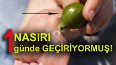 Nasırı 1 Günde Geçirecek Tedavi Yöntemi