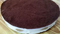 Kedi Dilli Mascarponeli Tiramisu