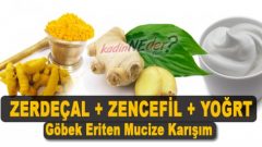 Zencefil Zerdeçal Yoğurt Tarçınla Etkili Zayıflama