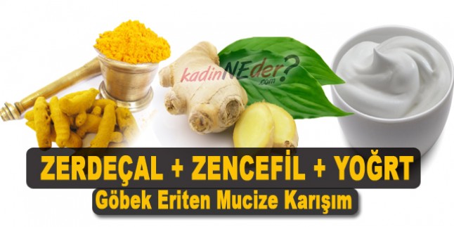 Zencefil Zerdeçal Yoğurt Tarçınla Etkili Zayıflama