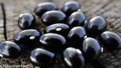 Kansızlığa ve Kansere Deva