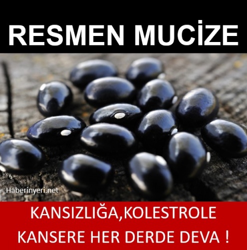 Kansızlığa ve Kansere Deva