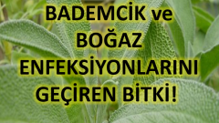 Bu Doğal Yöntemle Boğaz Enfeksiyonu ve Bademcik İltihabını Geçirin !!