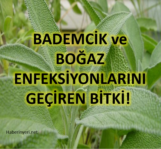 Bu Doğal Yöntemle Boğaz Enfeksiyonu ve Bademcik İltihabını Geçirin !!