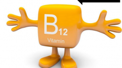 B12 Vitamin Eksikliğini Gideren Karışım