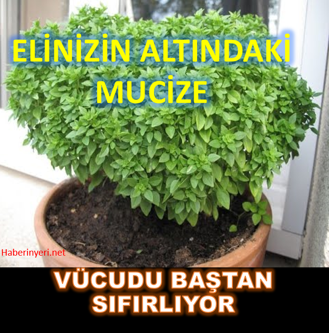 Vücuttaki iltihabı atan 8 mucizevi besin