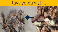 Ceviz ve Kabuğundaki Gizli Mucizeler