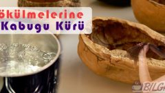 Ceviz Kabuklarını Sakın Atmayın..!! Saç Dökülmesi için Ceviz Kabuğu Kürü