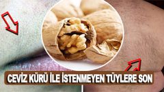 Ceviz Kürü İle İstenmeyen Tüylerinize Veda Edin