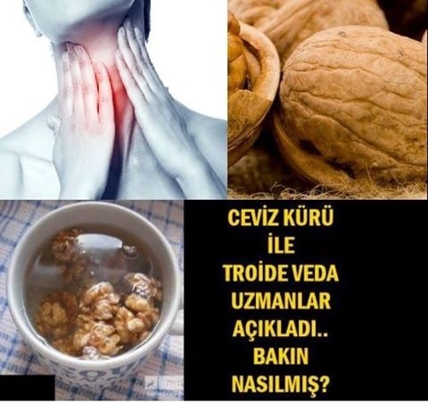 Ceviz Kürü İle Troide Veda... Uzmanlar Açıkladı...