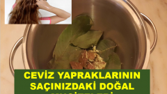 Ceviz Yapraklarının Saçınızdaki Doğal Mucizeleri