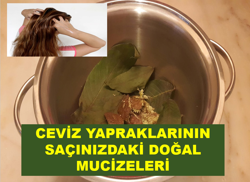 Ceviz Yapraklarının Saçınızdaki Doğal Mucizeleri