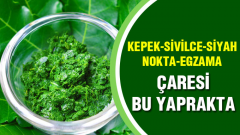 Güzelliğinize Güzellik Katacak Bir Bitki Neem Ağaci Cilde Faydaları…