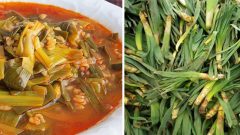 Doğu Anadolu’nun Şifalısı: Çiriş Otunun Saymakla Bitmeyen Faydaları!