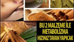 Defne Yaprağı ve Tarçının Nasıl Yağları Yakar