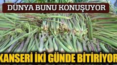 Kanseri 2 günde bitiriyor