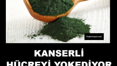 Kanserden koruyan 16 mucize yiyecek