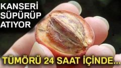 Kanseri Süpürüp Atıyor! Tümörü 24 Saat İçinde…