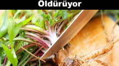 Kemoterapiden 100 kat daha etkili inanılmaz bitki