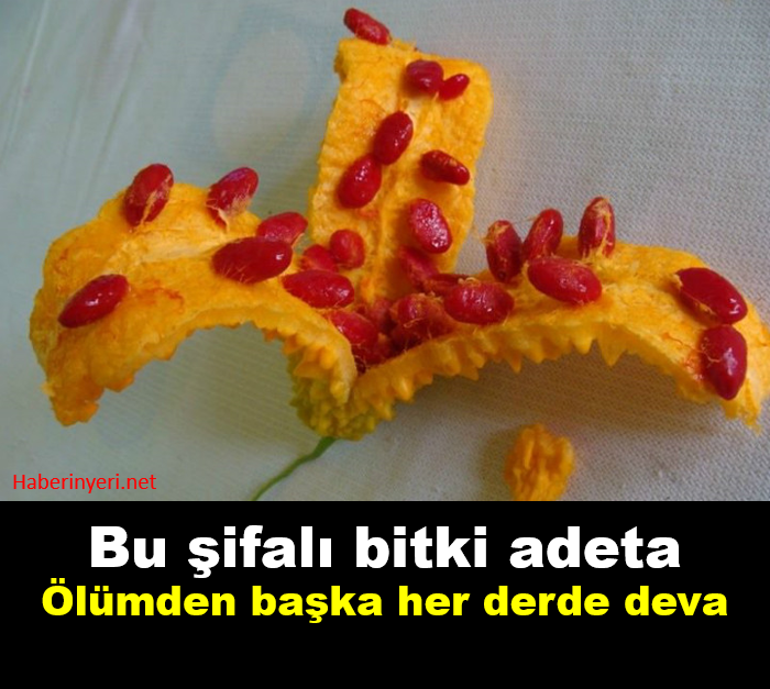 Bu Şifalı Bitkinin Bir Tek Ölüme Çaresi Yok!