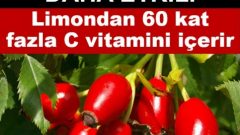 Yaşlanmayı Kuşburnu İle Önleyin