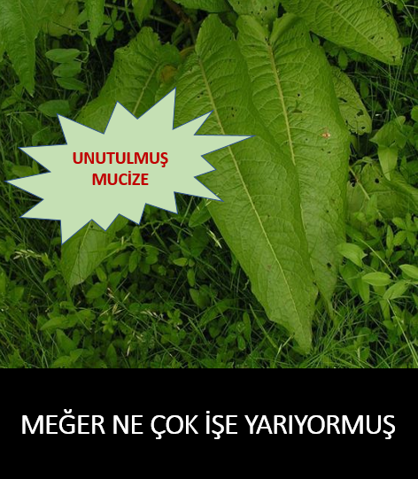 Unutulmuş Mucize !! Meğer ne çok işe yarıyormuş..