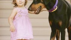 Köpeği Kızını Isırınca Önce Çok Şaşırdı – Nedenini Anlayınca Köpeğini Daha Da Sevdi