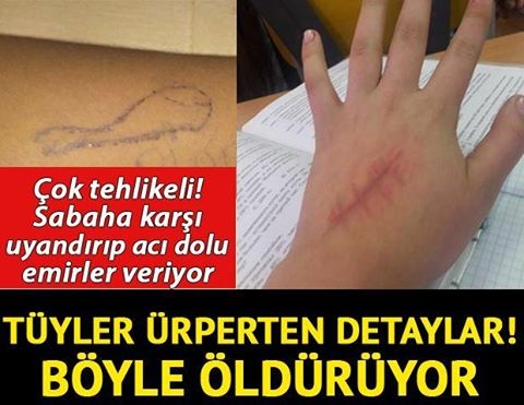 Aileler Dikkat..! Çocukları İntihara Sürükleyen Oyun