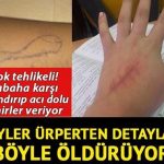 Aileler Dikkat..! Çocukları İntihara Sürükleyen Oyun