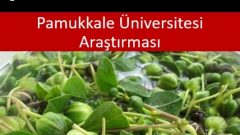 Paylasin lütfen. Belki birisine care olur…! MS Hastalığında Yüzde 80 Çare