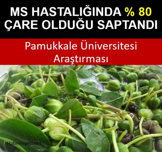 Paylasin lütfen. Belki birisine care olur…! MS Hastalığında Yüzde 80 Çare