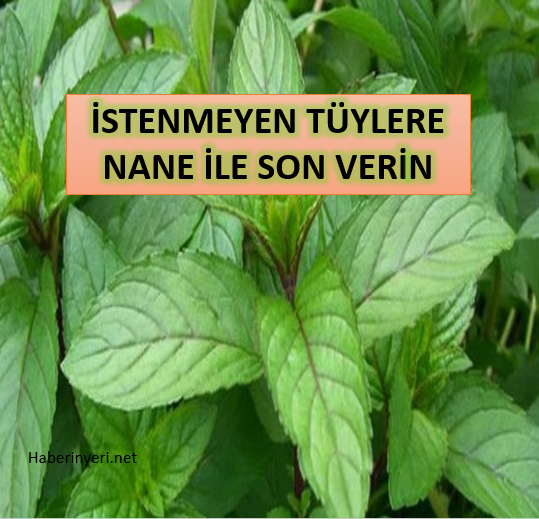 İstenmeyen Tüylere Nane Kürü İle 1 Ayda Son