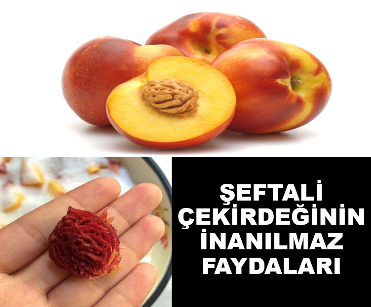 ŞEFTALİ ÇEKİRDEĞİ NE İŞE YARAR?