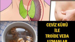 CEVİZ KÜRÜ İLE TROİDE VEDA UZMANLAR AÇIKLADI.. BAKIN NASILMIŞ?