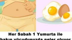 Her Gün Sabah 1 Yumurta Yemenizin Vücudunuza Sağlayacağı 9 Mucizevi Etki