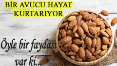 Bir Avucu Hayat Kurtarıyor Öyle Bir Faydası Varki