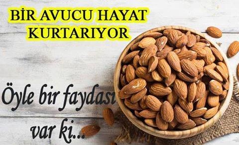 Bir Avucu Hayat Kurtarıyor Öyle Bir Faydası Varki