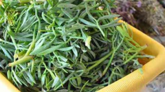 Kadınlarda Kistler ve Tümörlere karşı doğal ilaç