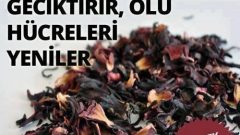 Genç Kalmak İçin Bu Çayı İçin