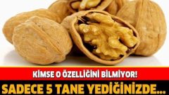 Sadece 5 Adet Ceviz Yediğinizde 4 Saat İçinde Bu Oluyor