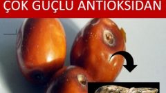 Karaciğer Dostu Hünnapın Mucizeleri