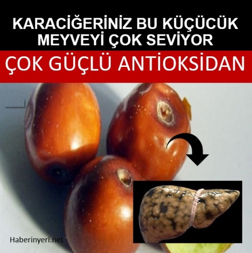 Karaciğer Dostu Hünnapın Mucizeleri