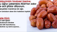 Safra Kesesi Ağrıları İçin İğde Kürü