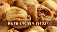Kuru İncir Faydaları  3 Çeşit İncir Kürü Tarifi