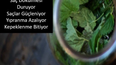 Saçlarınız için ısırgandan mutlaka faydalanın