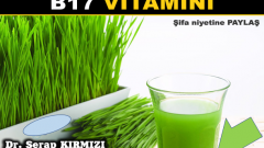 Kanser diye bir şey yok sadece B17 vitamini eksikliği var